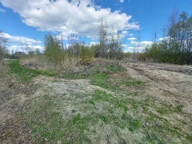 Ульяновская область, Димитровград, ул. Земина