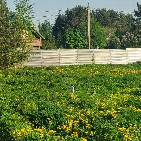 Продается участок, 6 сот.