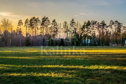 Московская область, Одинцовский городской округ, Бородки деревня, Грибово коттеджный поселок