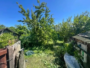 Московская область, Красногорск городской округ, Архангельское поселок