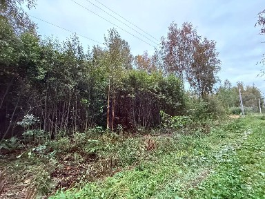 Московская область, Орехово-Зуевский городской округ, Юность СНТ, 209