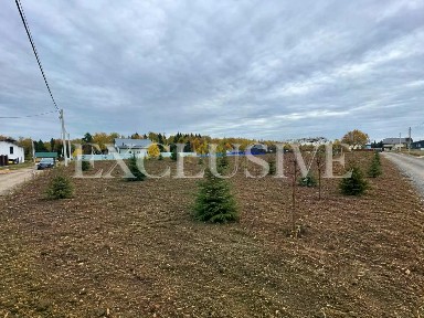 Московская область, Наро-Фоминский городской округ, Свитино деревня, Новое Свитино коттеджный поселок, 88