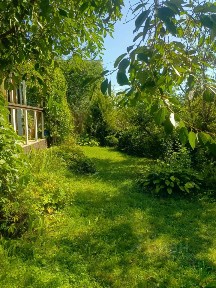 Московская область, Солнечногорск городской округ, Тимоново деревня, Луч СНТ, 196