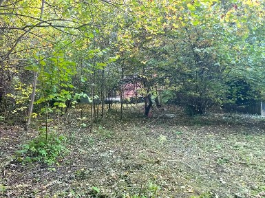 Московская область, Одинцовский городской округ, Мозжинка поселок, 15