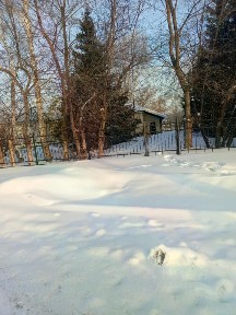 Продается здание, 352,8 м²