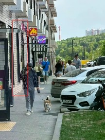 Продается арендный бизнес, 85 м²