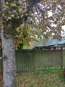 Продается 1-этажный дом, 60,4 м²