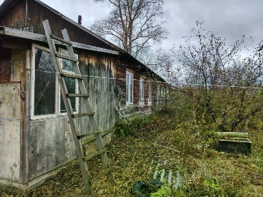 Алтайский край, Целинный район, Целинное село, Сибирский пер., 8