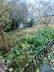 Продается 1-этажный дом, 39 м²