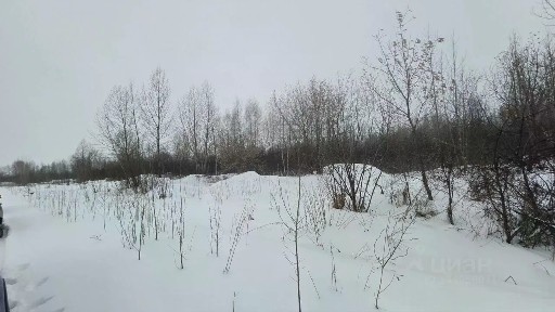 Продается коммерческая земля, 6 га