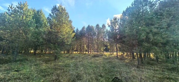 Продается участок, 11 сот.