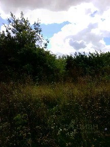 Липецкая область, Волово село, ул. Комсомольская, 83А