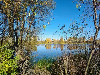 Липецкая область, Липецкий муниципальный округ, Товаро-Никольское село, Никольский коттеджный поселок, ул. Олимпийская, 36