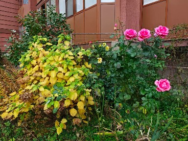 Продается студия, 24,3 м²