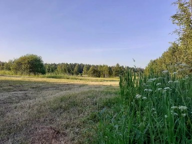 Продается участок, 240 сот.
