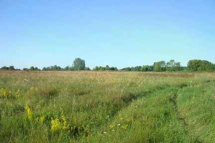 Продается участок, 270 сот.