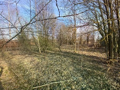 Продается участок, 25 сот.