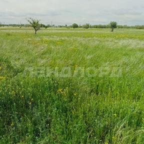 Продается участок, 6 сот.