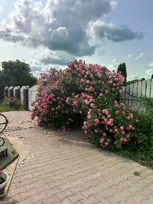 Продается 2-этажный коттедж, 179,6 м²