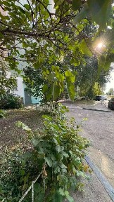 Сдается 1-комн. квартира, 38 м²