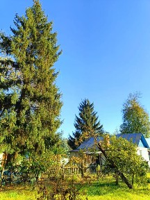 Продается 1-этажный дом, 59,8 м²