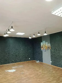 Новосибирская область, Новосибирск, р-н Первомайский, ул. Маяковского, 4/2