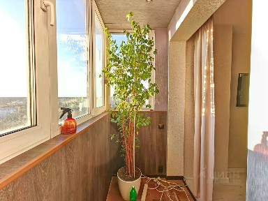 Сдается студия, 23,4 м²