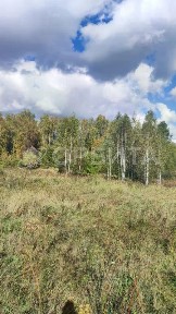 Тюменская область, Тюменский муниципальный округ, Елань деревня, 14