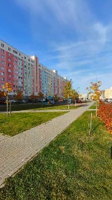 Продается студия, 20,2 м²