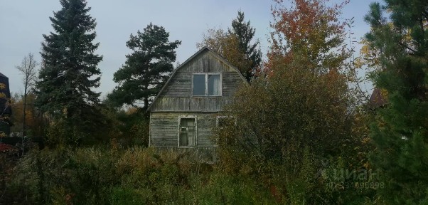 Московская область, Богородский городской округ, Алешинские Сады СНТ, ул. 6-я
