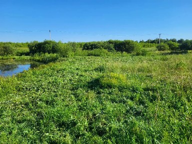 Московская область, Ступино городской округ, Рудины деревня, ул. Дорожная, 25