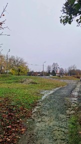Московская область, Раменский муниципальный округ, Старниково деревня
