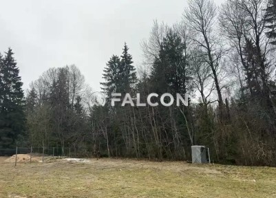 Московская область, Истра муниципальный округ, Надеждино село, 2