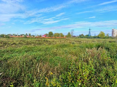 Московская область, Богородский городской округ, Ногинск, Лазарево парк коттеджный поселок