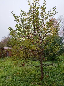 Продается 2-этажный дом, 150 м²