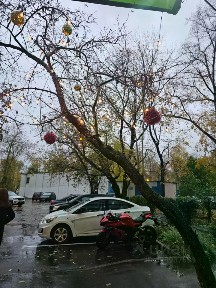 Продается 2-комн. квартира, 45,5 м²