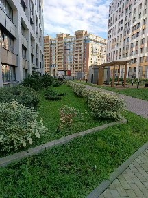Сдается 1-комн. квартира, 26 м²