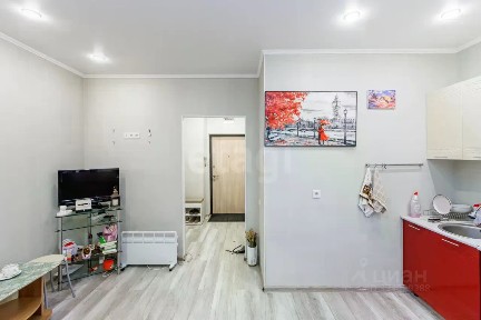 Сдается студия, 24,5 м²
