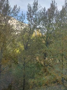 Сдается 1-комн. квартира, 40,3 м²