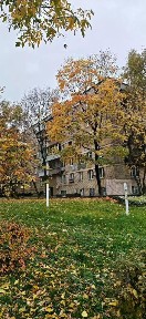 Сдается 3-комн. квартира, 55 м²