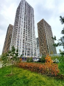 Сдается студия, 23,6 м²