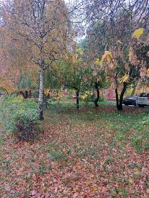 Продается 3-комн. квартира, 61 м²