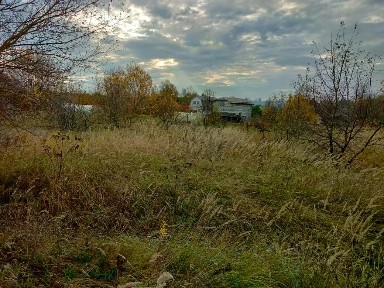 Московская область, Воскресенск городской округ, Щербово деревня