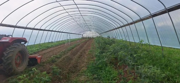 Продается готовый бизнес ⋅ другое, 78 000 м²