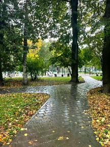 Сдается 2-комн. квартира, 45 м²
