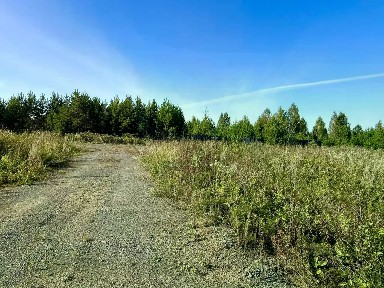 Свердловская область, Арамиль, Микрорайон Теплое Поле