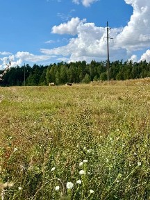 Продается 1-этажный дом, 52,6 м²