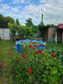 Продается 1-этажный дом, 59 м²