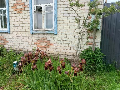Продается 1-этажный дом, 68 м²