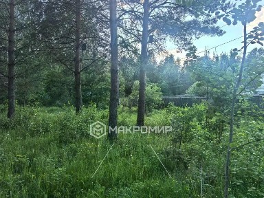 Брянская область, Октябрьское СО